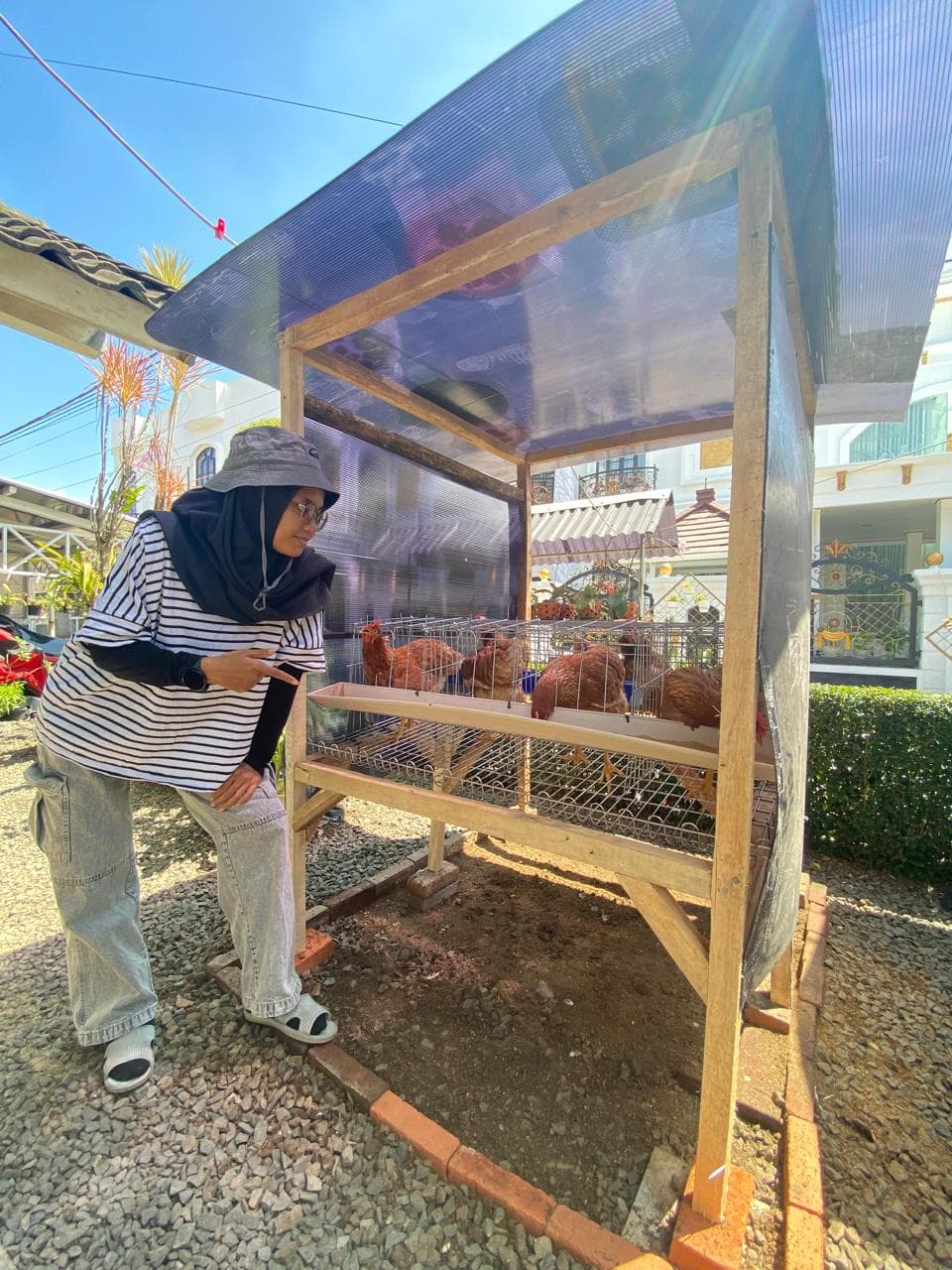 Home-raised chickens, eggs and meats for the community