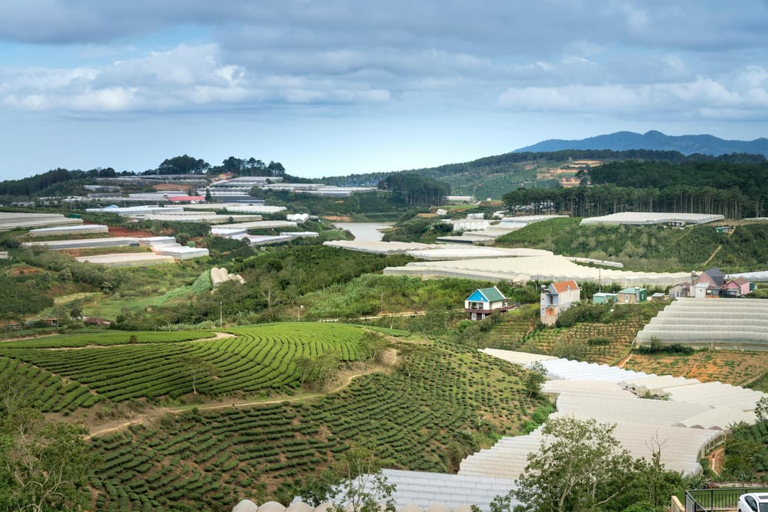 Farmland expansion