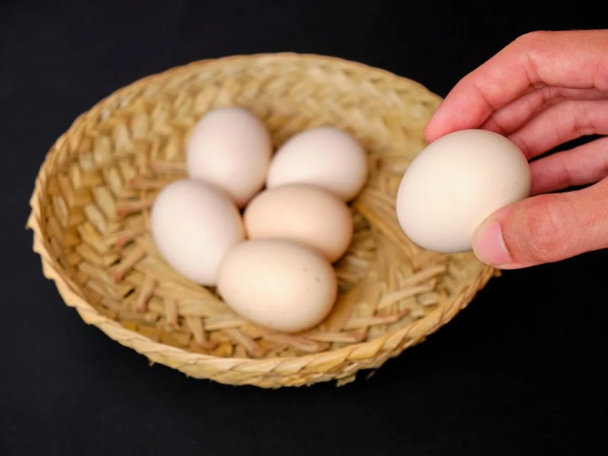 Telur Ayam Kampung